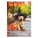 Goldens With Broom Suede Garden Flag_x000D_