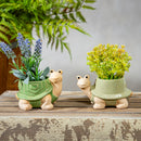 Palm Beach Planter, Ceramic, Turtles, Asst of 2