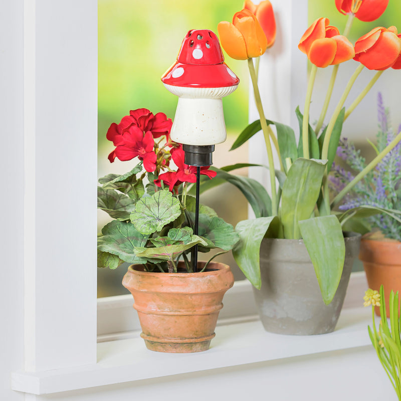 All-In-One Ceramic Fruit Fly/Fungus Gnat Trap with Watering Globe Gift Set, Mushroom,2cg499