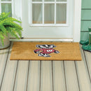 University of Wisconsin-Madison Large Full Color Coir Mat, 36"x24"