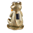 8"H Scholarly Frog with Solar Light Garden Statuary