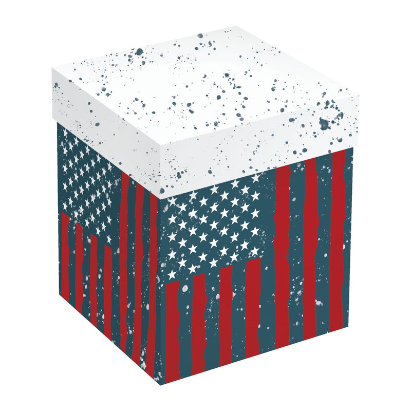 Evergreen Home Accents,15oz Ceramic Cup w/ Gift Box, American Flag,3.98x5.43x3.54 Inches