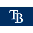 Tampa Bay Rays Full Color PVC Mat 16" x 28"