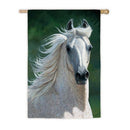 Flag, Gar, Wind Runner