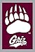 Flag, Reg, University of Montana