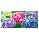 Multicolor Hydrangea Sassafras Switch Mat