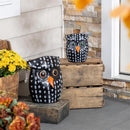 Dotted Owl Statue, Set