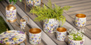 Golden Lilac Metal Purple Watering Can