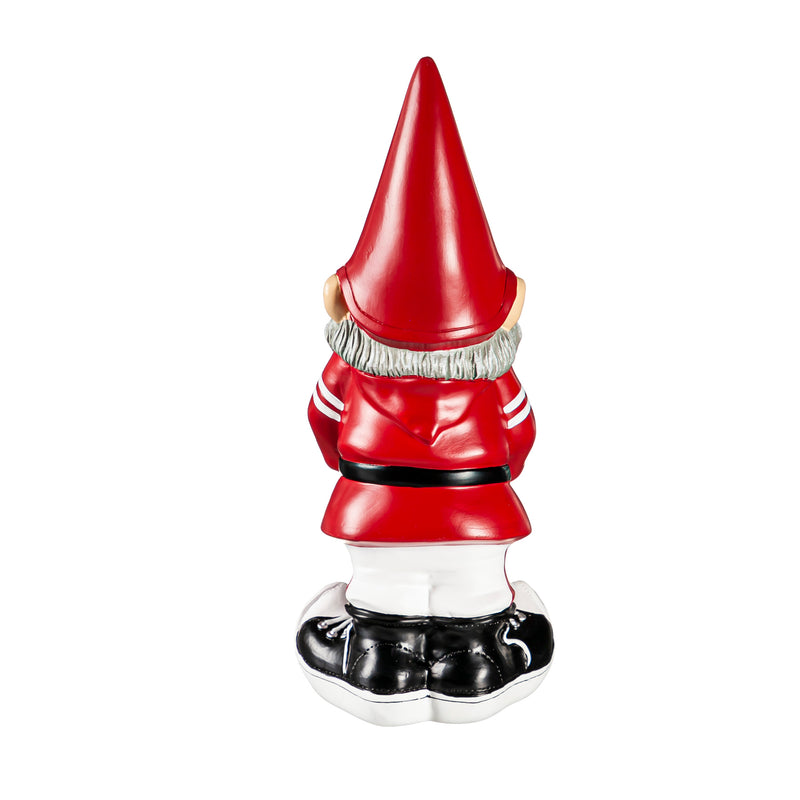 University of Oklahoma, Garden Gnome,54974gm