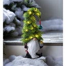Holiday Lighted Christmas Tree Garden Gnome with Gift
