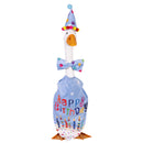 Amazon set main | 2011SETGU3S4LG26-TD6R2GS25 | Giddy the Goose wearing Birthday Boy outfit