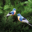 Bluebird Clip Ornament, A/2