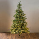 7' Grandis Fir Christmas Tree with 550 Lights