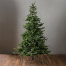7' Grandis Fir Christmas Tree with 550 Lights
