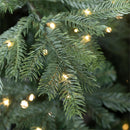 7' Grandis Fir Christmas Tree with 550 Lights