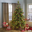 7' Grandis Fir Christmas Tree with 550 Lights