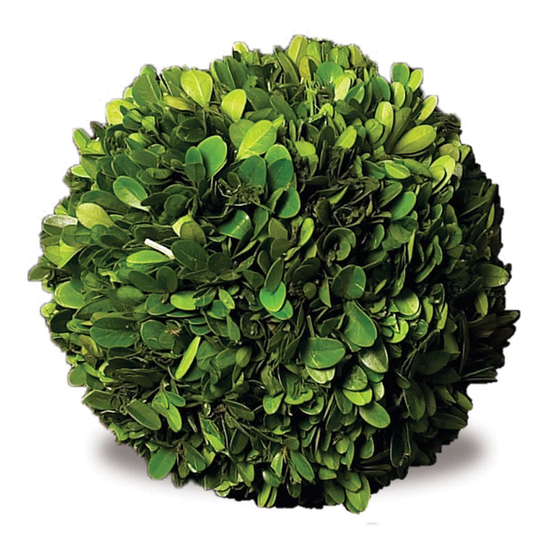 Napa Home Garden, PG 6" BALL,7504pg