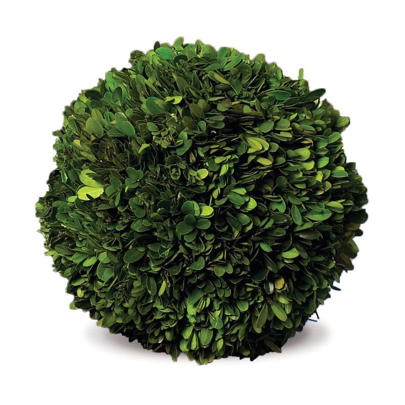 NAPA Home & Garden, BOXWOOD BALL 10",7505PG