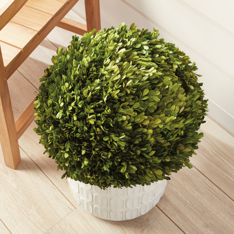 NAPA Home & Garden, BOXWOOD BALL 16",7506PG