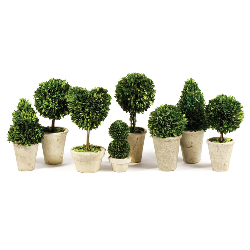 Napa Home Garden, PG TOPIARIES IN POTS ST/8,7507pg