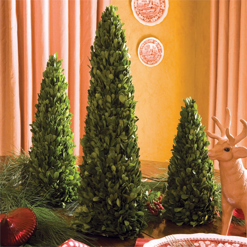 Napa Home Garden, PG MINI TREES ,SET OF 3,7520pg