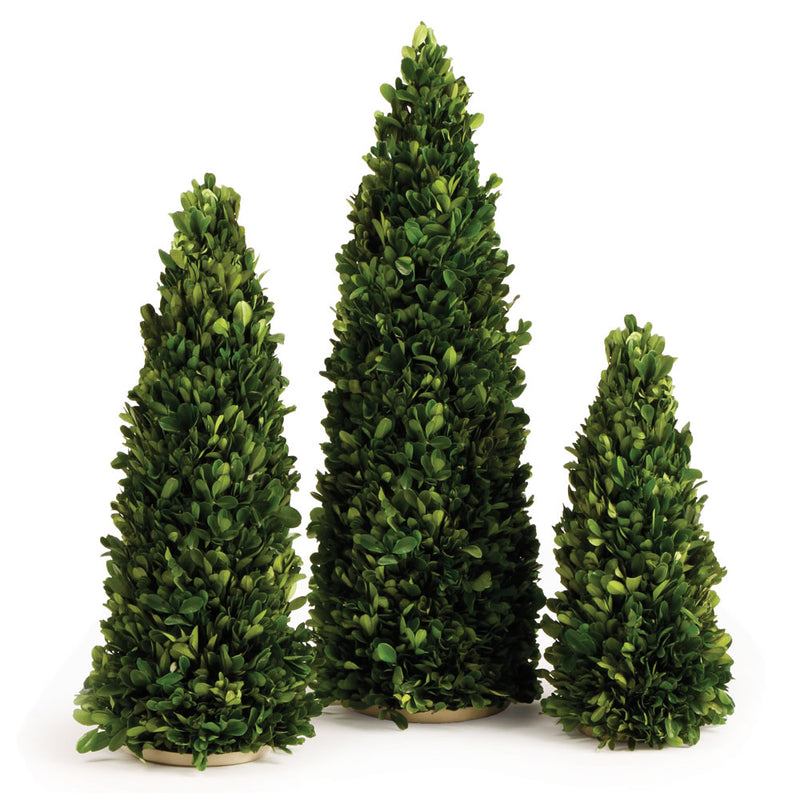 NAPA Home & Garden, BOXWOOD MINI TREES, SET OF 3,7520PG