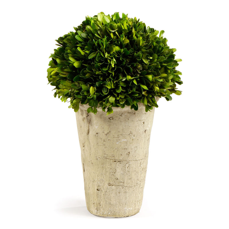 NAPA Home & Garden, BOXWOOD THREE-QUARTER BALL IN POT,7534PG