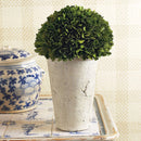 NAPA Home & Garden, BOXWOOD THREE-QUARTER BALL IN POT,7534PG
