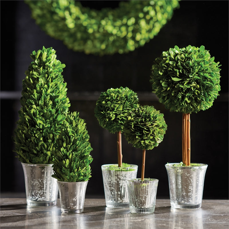 Napa Home Garden, PG TOPIARIES ,SET OF 5 MRCRY GLASS FNISH,7566pg