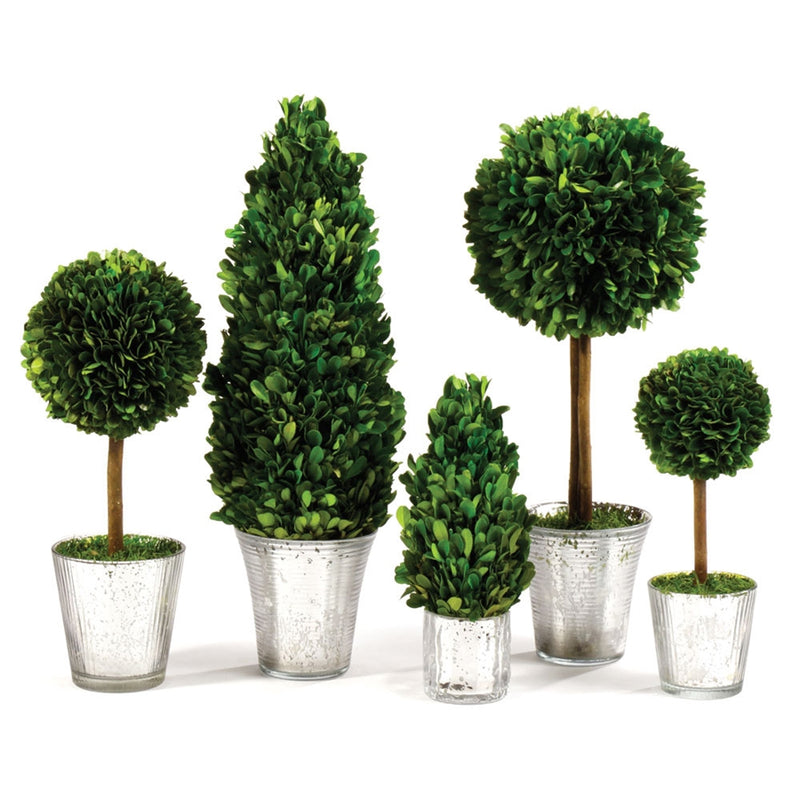 Napa Home Garden, PG TOPIARIES ,SET OF 5 MRCRY GLASS FNISH,7566pg