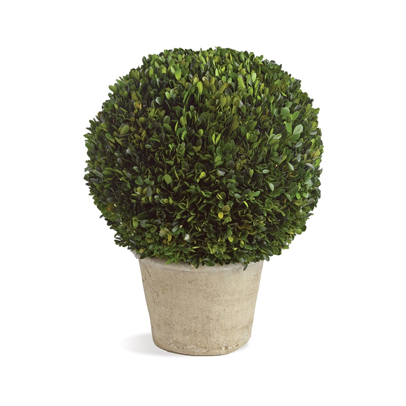 Napa Home Garden, PG 12" BALL IN POT,7571mpg