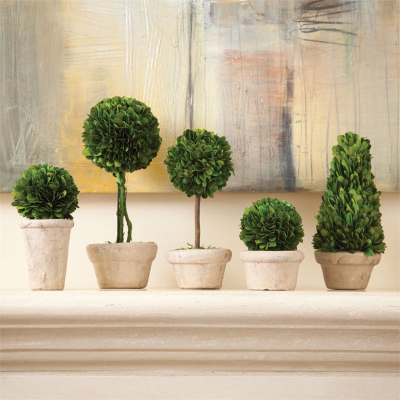 Napa Home Garden, PG TOPIARIES POTTED ,SET OF 5,7581pg