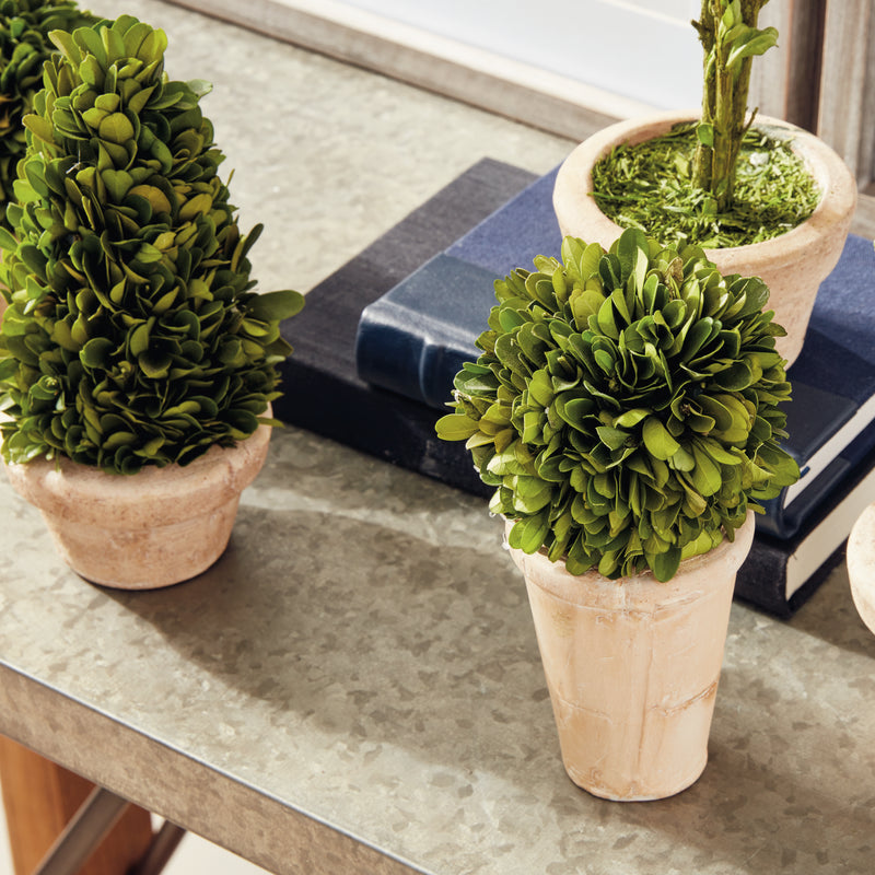 NAPA Home & Garden, BOXWOOD TOPIARIES IN POTS, SET OF 5,7581PG