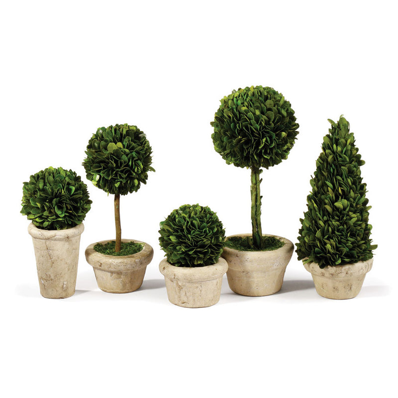 NAPA Home & Garden, BOXWOOD TOPIARIES IN POTS, SET OF 5,7581PG