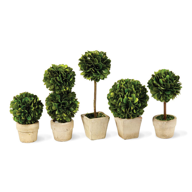 NAPA Home & Garden, BOXWOOD MINI TOPIARIES IN POTS, SET OF 5,7582PG