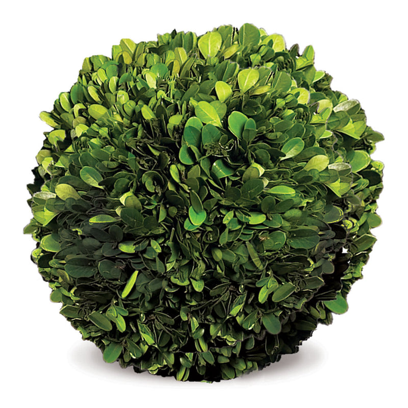 NAPA Home & Garden, BOXWOOD BALL 8",7600PG