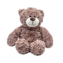 Evergreen Gifts,Heatable Warming Plush, Bear,13.7x9x3.5 Inches