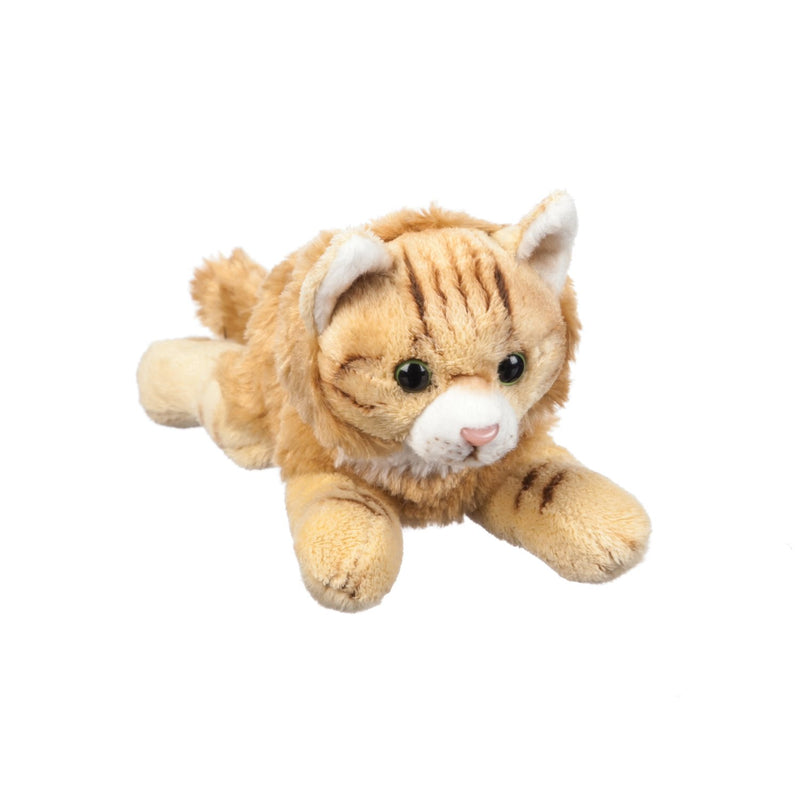 Evergreen Gifts,Maine Coon Cat 8" Bean Bag,8x2.5x3 Inches