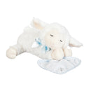 Pray with Me Blue Little Lamb