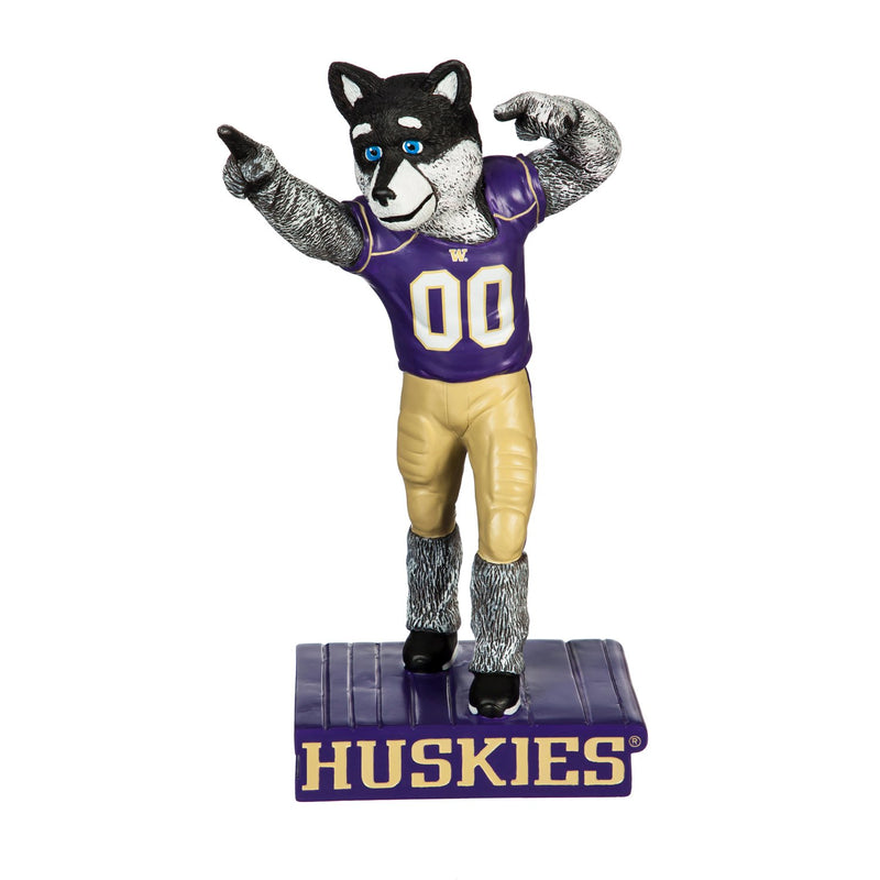 University of Washington, Mascot Statue,84941ms