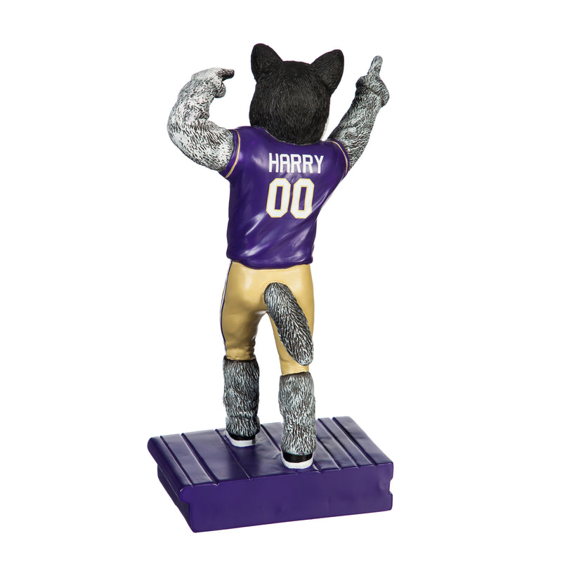 University of Washington, Mascot Statue,84941ms