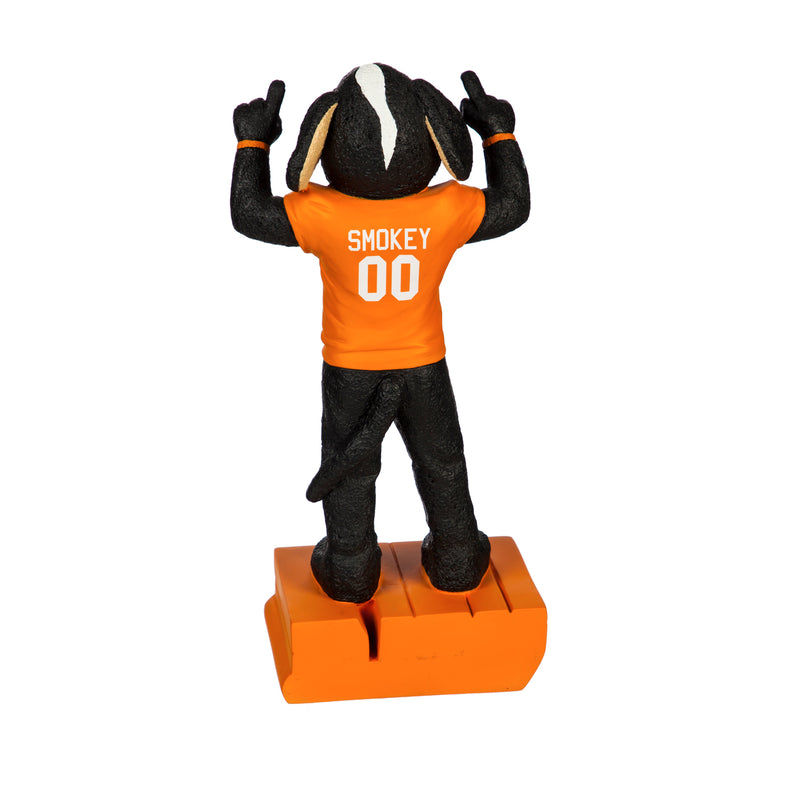 University of Tennessee, Mascot Statue,84955ms