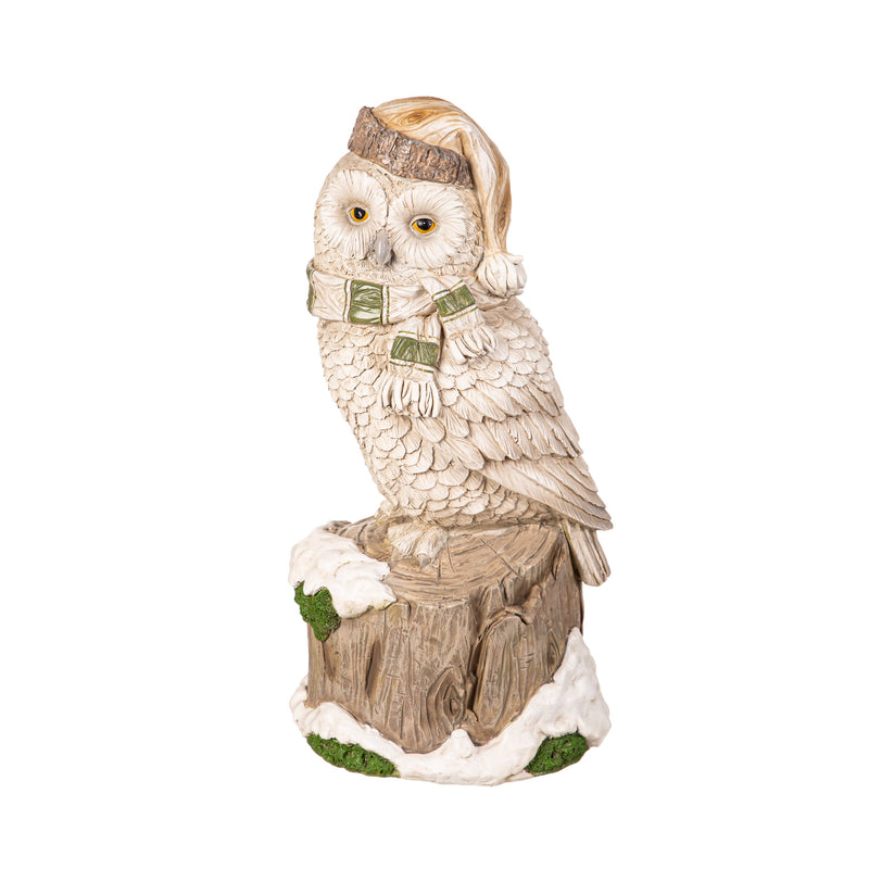 Bundled Up Owl Statuary,84g5348