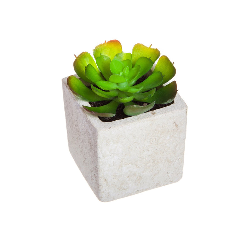 Succulent in Square Pot, 3 ASST,8flp071