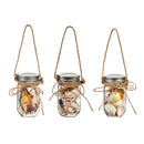 LED Coastal Jar with Shells in 12 piece CDU