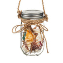 LED Coastal Jar with Shells in 12 piece CDU