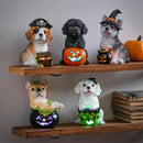 5" LED Resin Halloween Dog Tabletop Decor in CDU