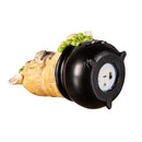 5" LED Resin Halloween Dog Tabletop Decor in CDU