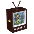 University of Iowa Vintage TV Water Lantern