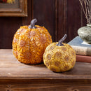 Sunflower Pumpkin Resin Table Decor Set